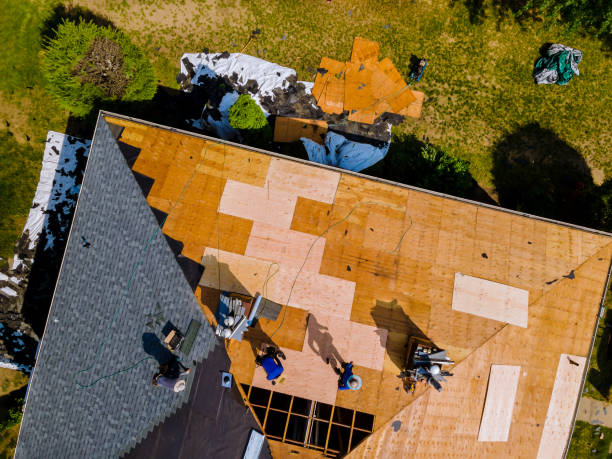 Best Roof Maintenance Services  in Acres Green, CO