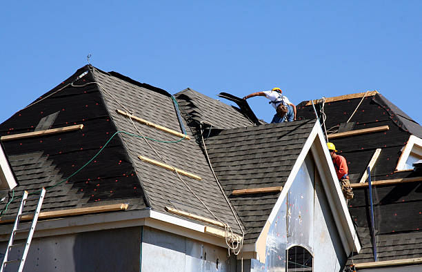 Best Gutter Installation and Roofing  in Acres Green, CO